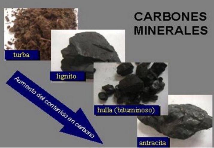 Diferencias y usos del carbón vegetal y del carbón mineral
